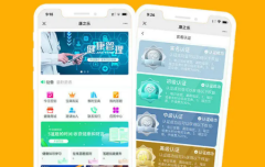 APP定制开发，微信公众号，小程序，软件系统
